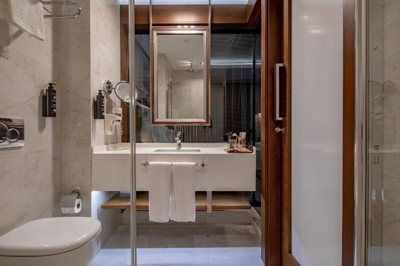 Deluxe Twin Room image 2