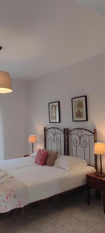 Budget Twin Room image 2