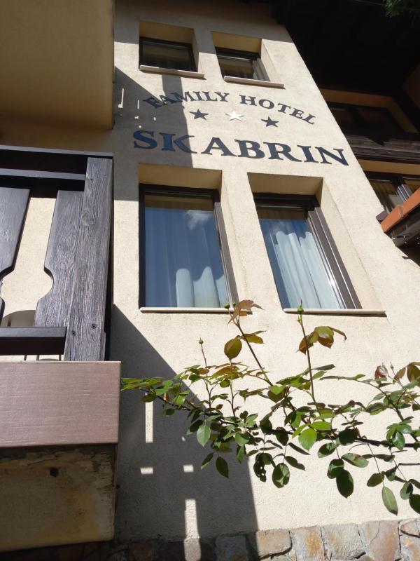 Guest house Skabrin - image 13