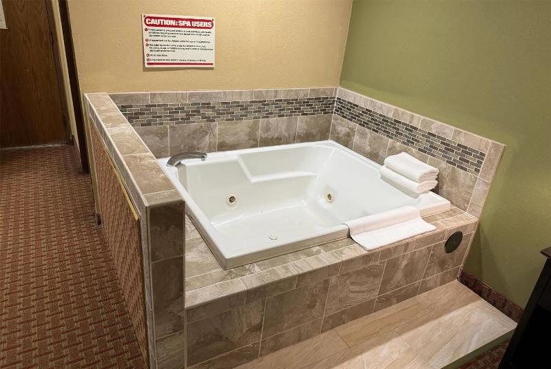 Deluxe King Suite image 1