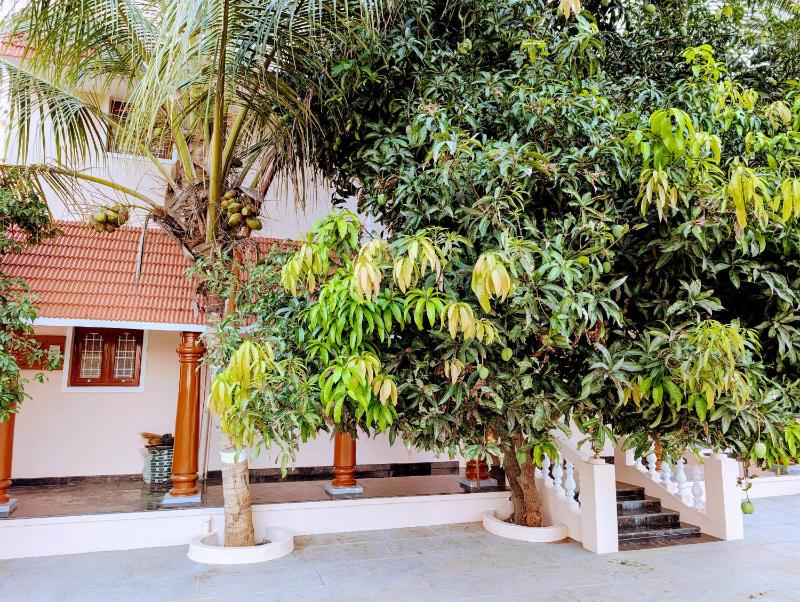 Yellowra Farmstay Tiruvannamalai - image 6