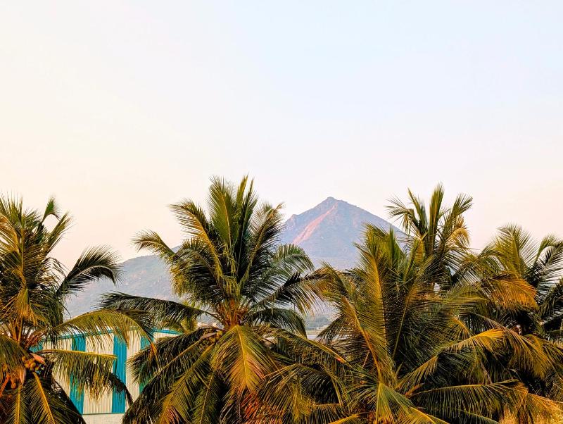 Yellowra Farmstay Tiruvannamalai - image 16