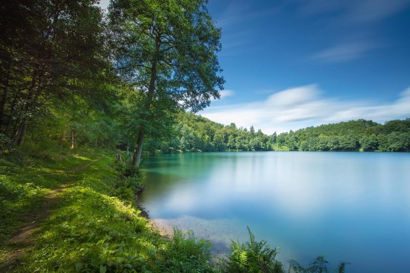 Comfort One-Bedroom Apartment image 1