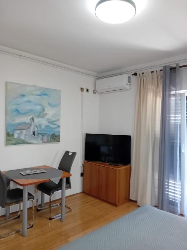 Studio with Terrace image 4