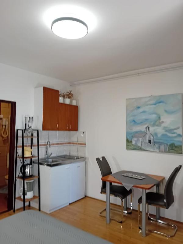Studio with Terrace image 3