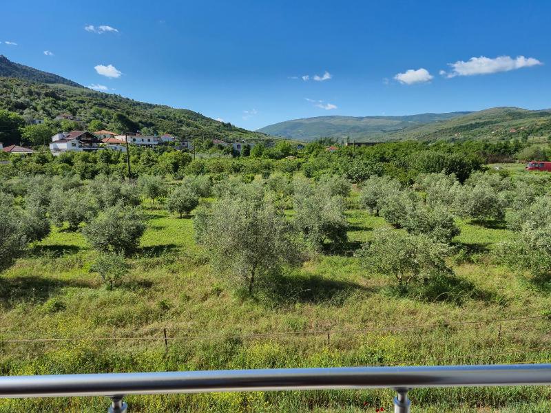 Villa Ari - image 11