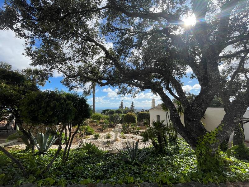Monte Borboleta - Villas Apartments - image 10