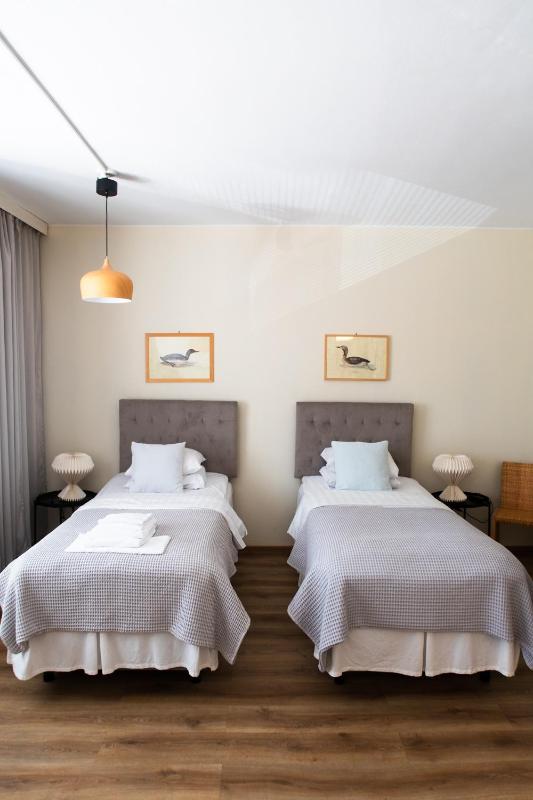 Deluxe Twin Room image 2