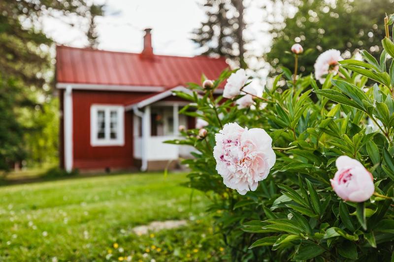 Cottage image 1