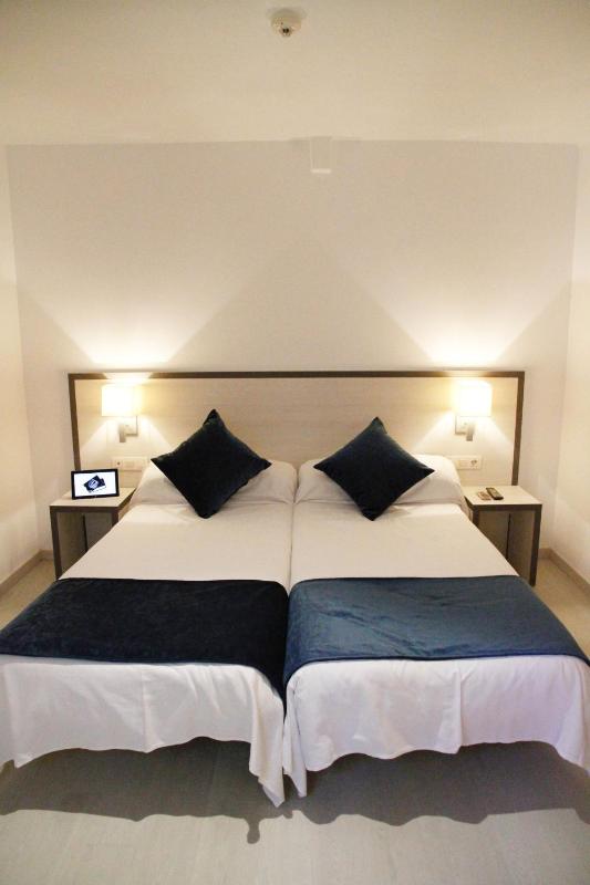 Economy Twin Room image 2