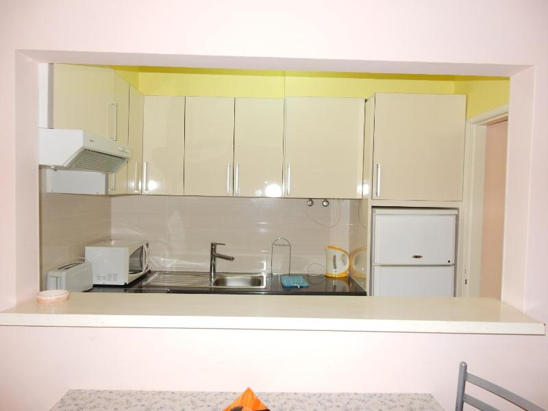 Premium One-Bedroom Apartment image 3
