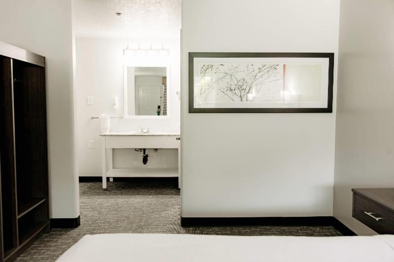 King Suite - Non-Smoking image 4