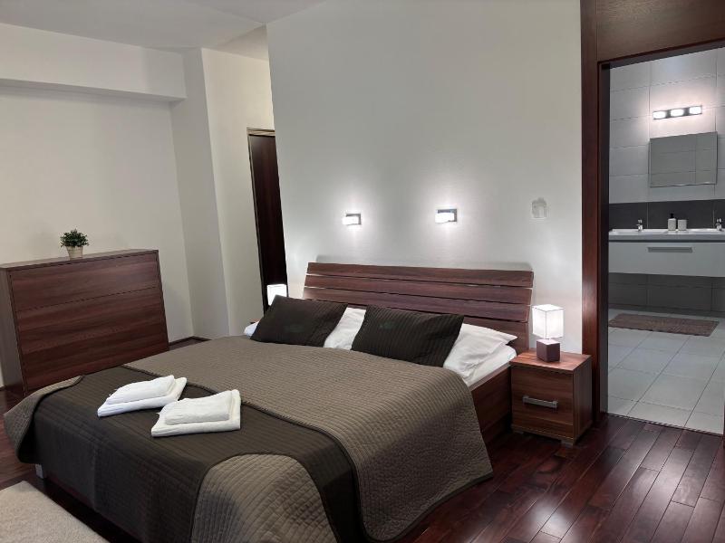 One-Bedroom Apartment image 2