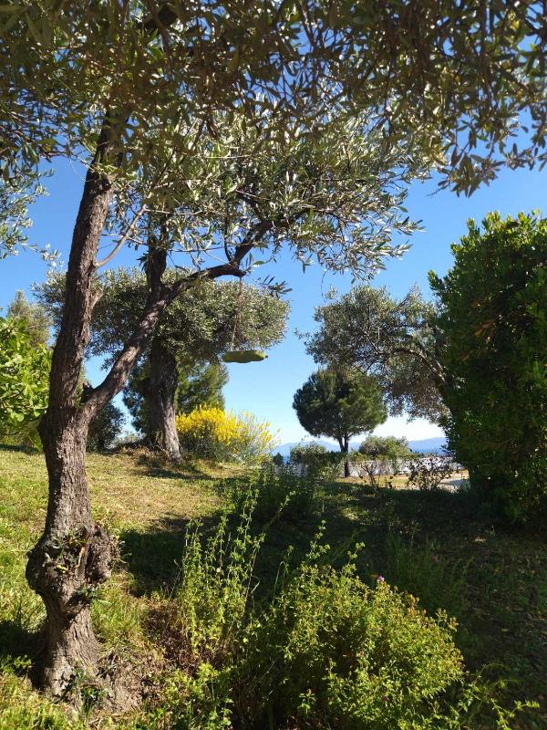 Villa Anna Maria - image 26