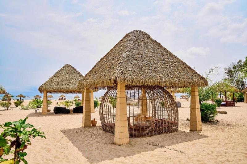 La Baie des Tortues Luth - image 9