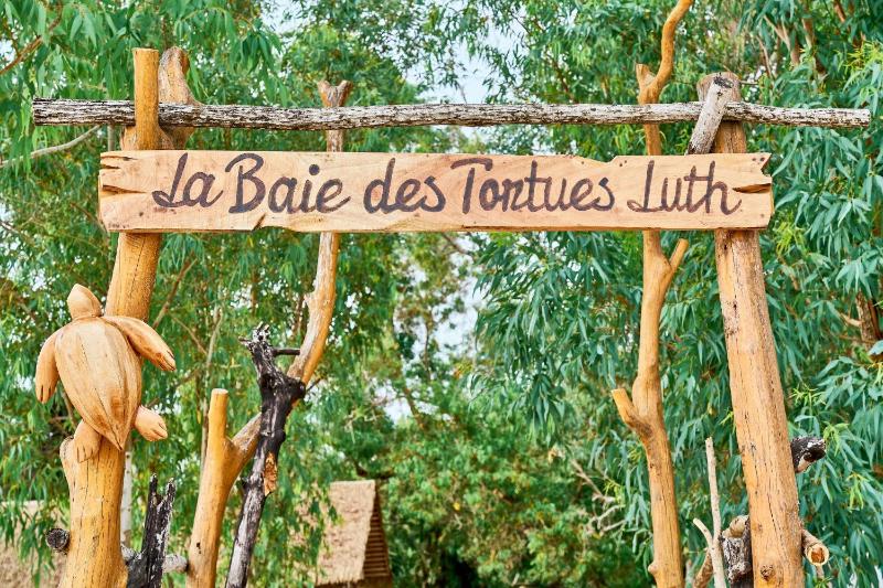La Baie des Tortues Luth - image 13