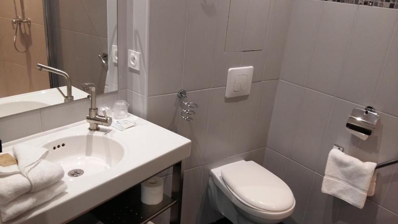 Regina Boutique Hotel - image 30