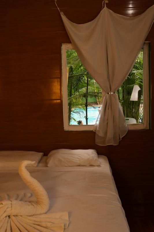 La Palmera Dorada - image 13