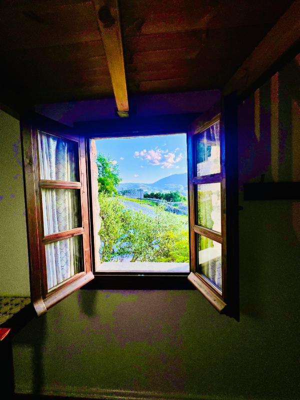 Family Room with Balcony image 3