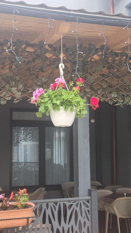 Large Double Room image 4