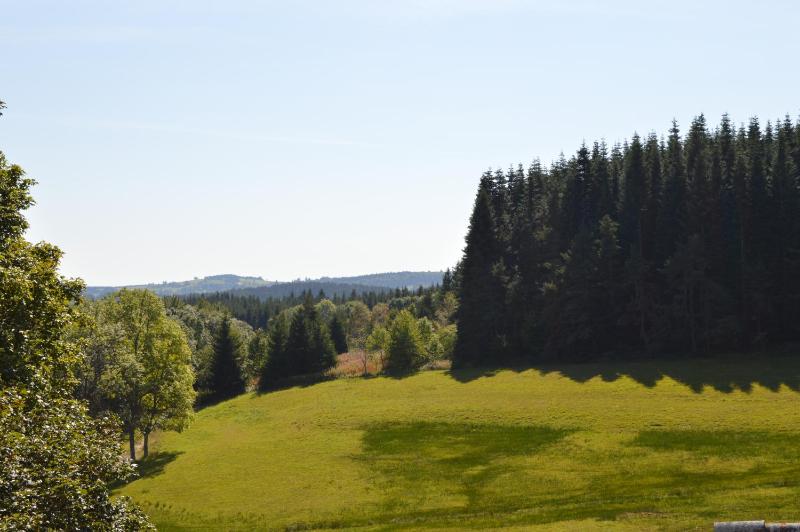 Apartment with Terrace image 4