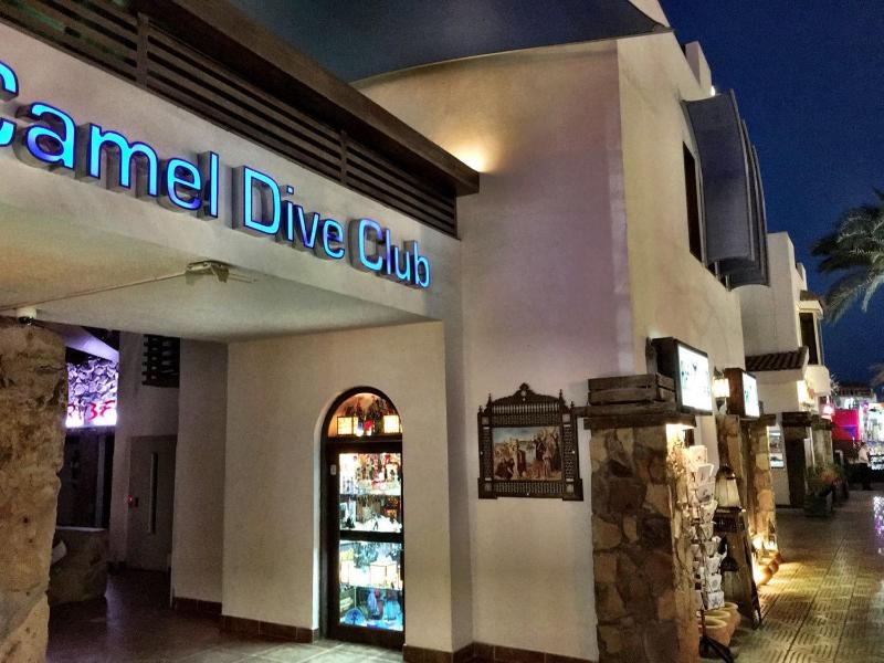 Camel Dive Club & Boutique Hotel - image 27