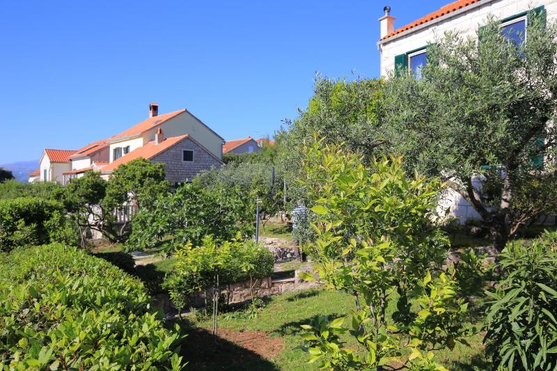 Apartments with parking space Splitska Brac - 17023 - image 7
