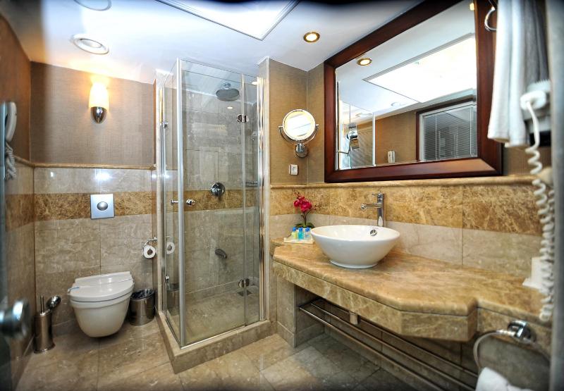 Single Room image 4