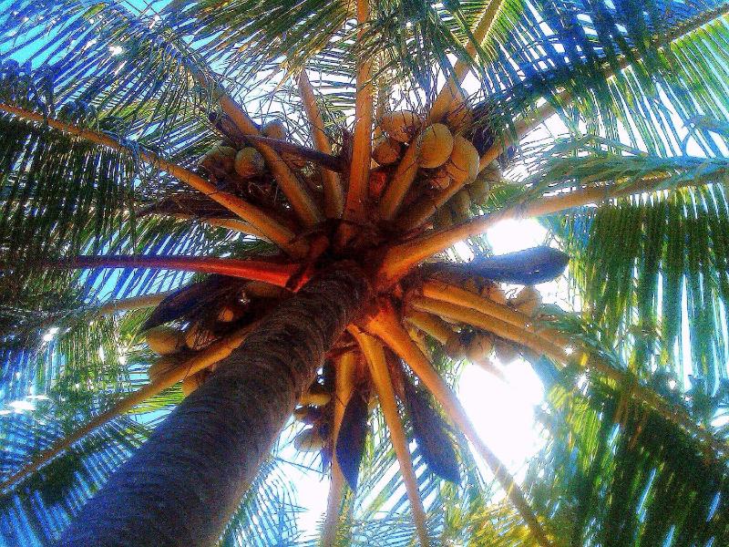 Honeymoon image 3