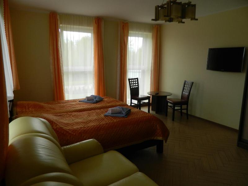 Standard Family Room image 4