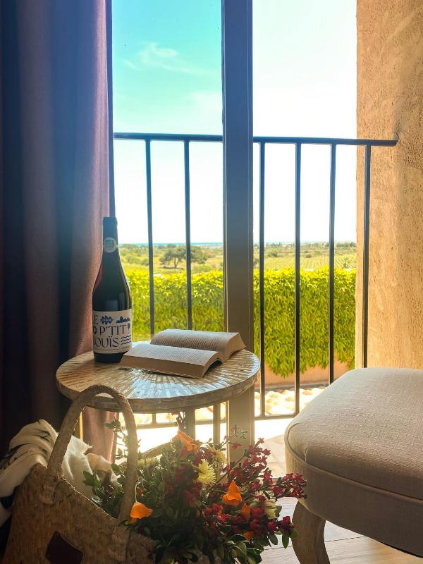 Château le Bouïs Hotel & Wine - image 38