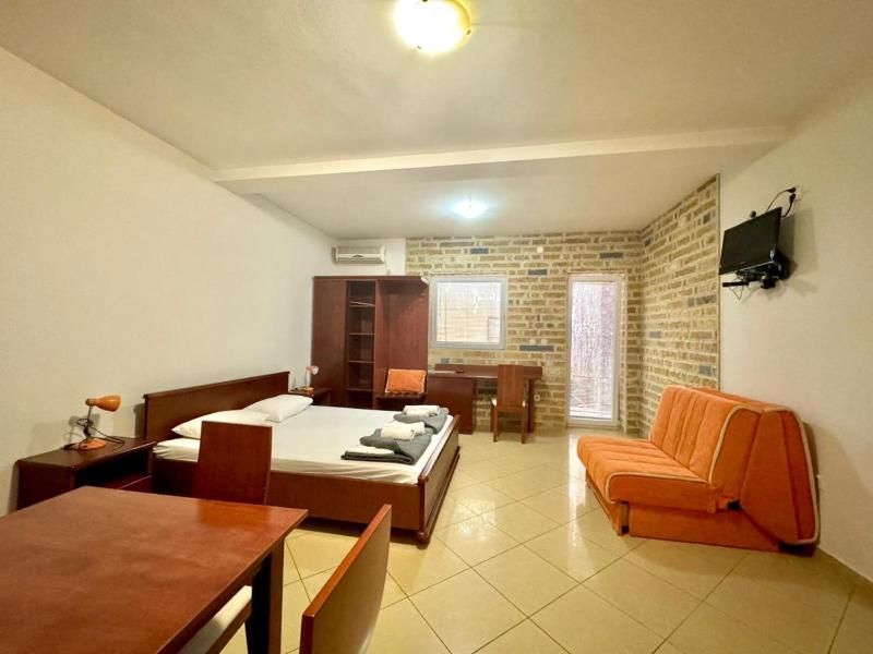 Studio Apartment with Sofa Bed image 3