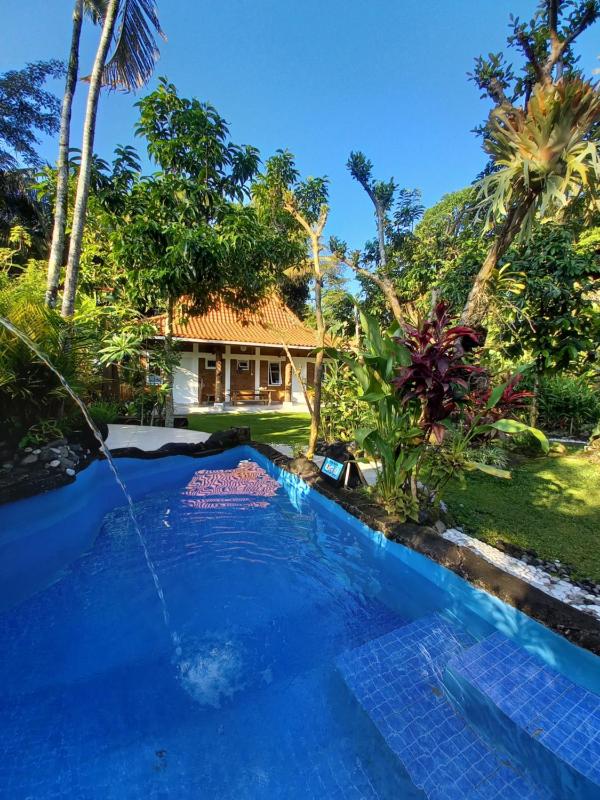 Guest House T - image 7