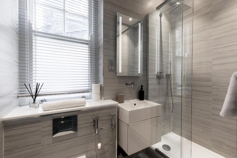 One-Bedroom Apartment image 2