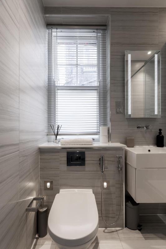 One-Bedroom Apartment image 3