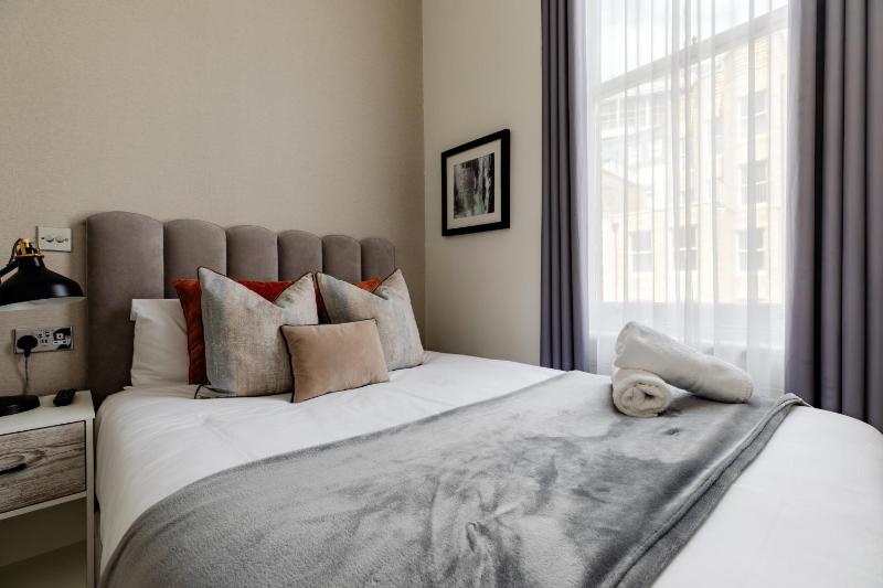 One-Bedroom Apartment image 4