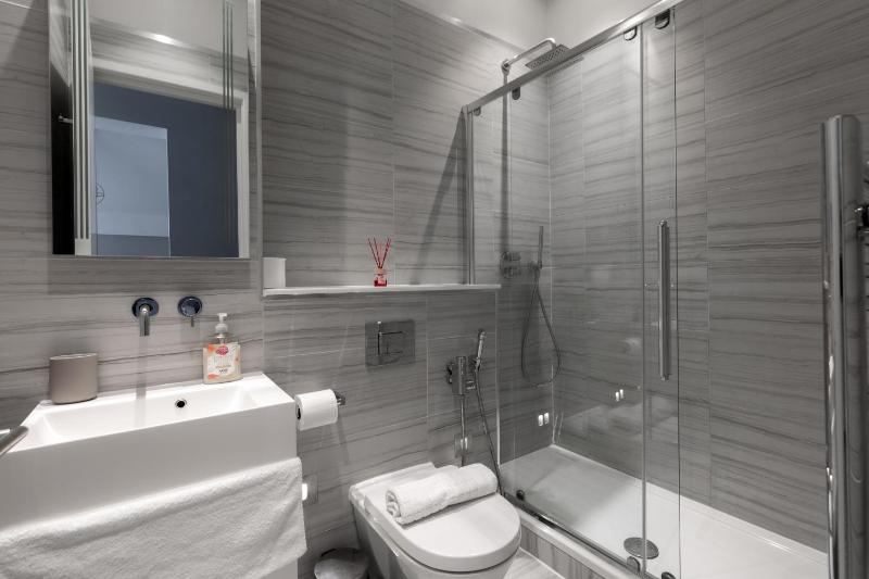One-Bedroom Apartment image 3