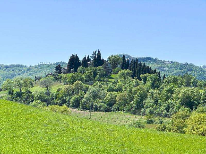 Double Room with Garden View image 1