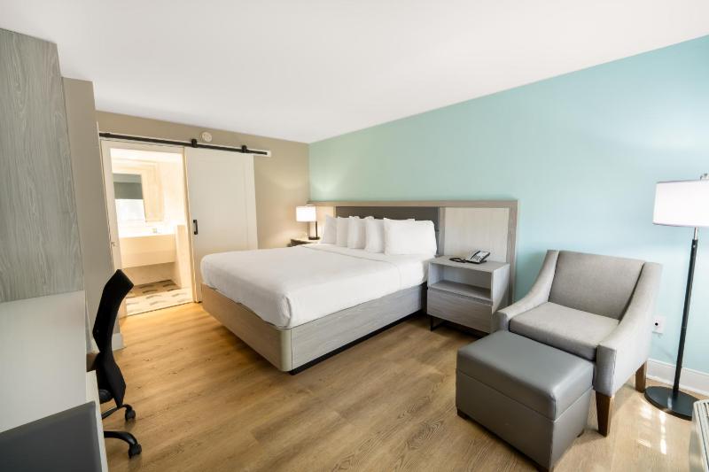 King Room - Non-Smoking image 4