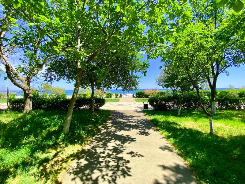 The Sea Escape - image 2