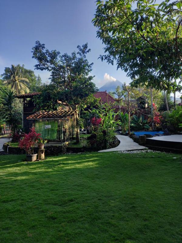 Guest House T - image 6