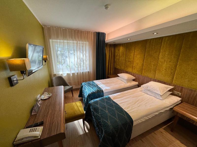 Twin Room with Spa Access image 1