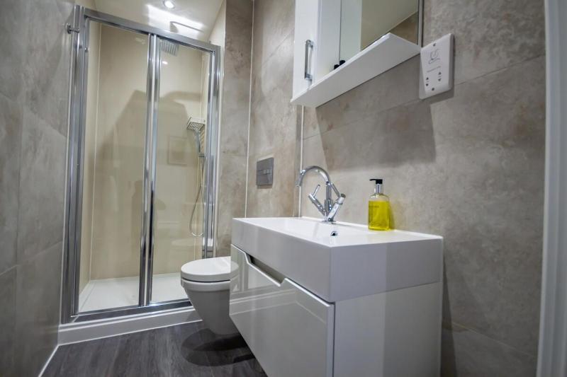 One-Bedroom Apartment image 4