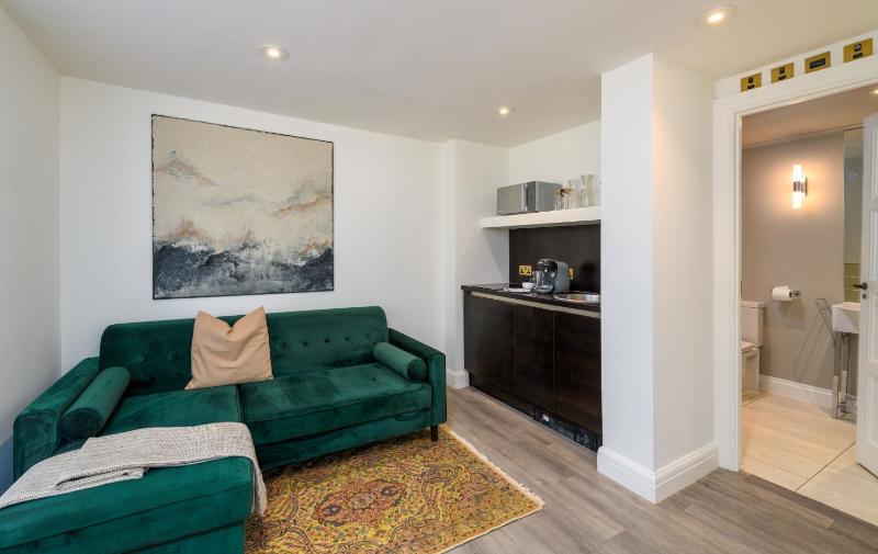One-Bedroom Premier Apartment image 3