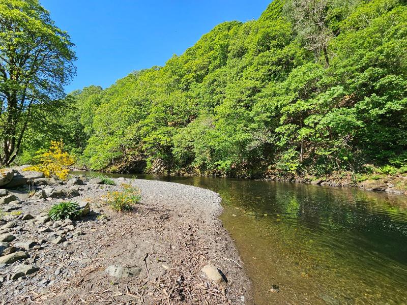 Elm Lodge - image 15
