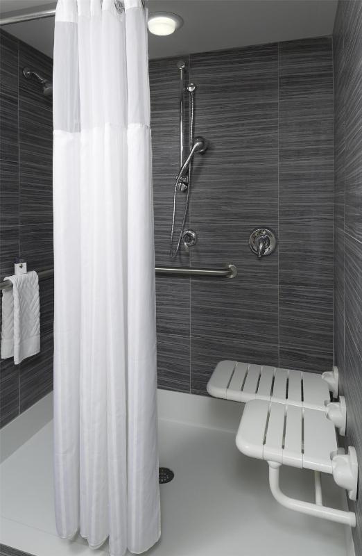 King Room with Roll-in Shower - Mobility and Hearing Accessible/Non-Smoking image 3