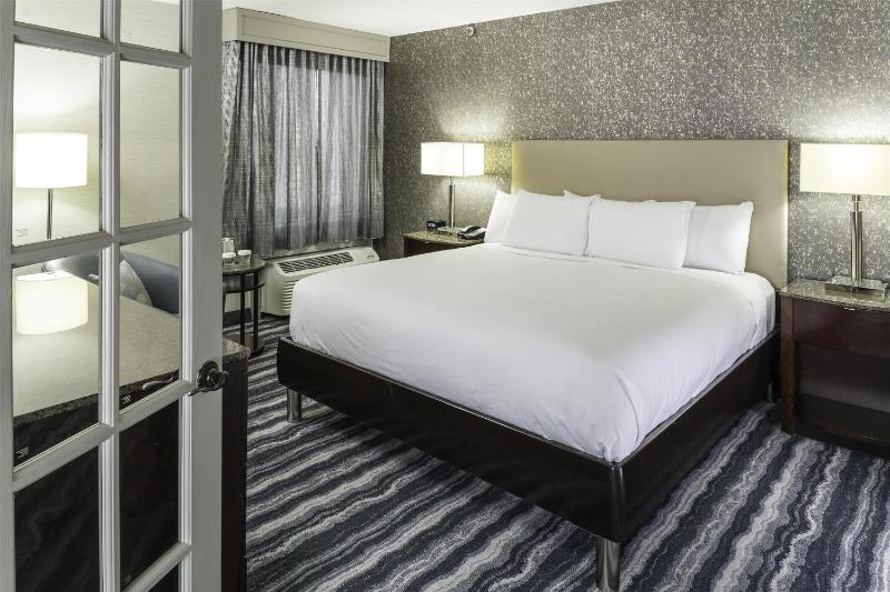 Deluxe King Suite - Non-Smoking image 3