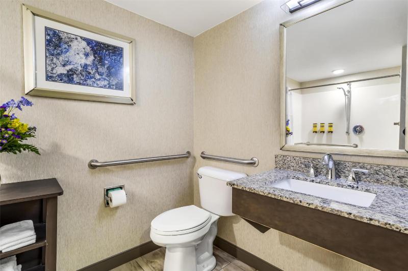 King Room - Disability Access/Non-Smoking image 2