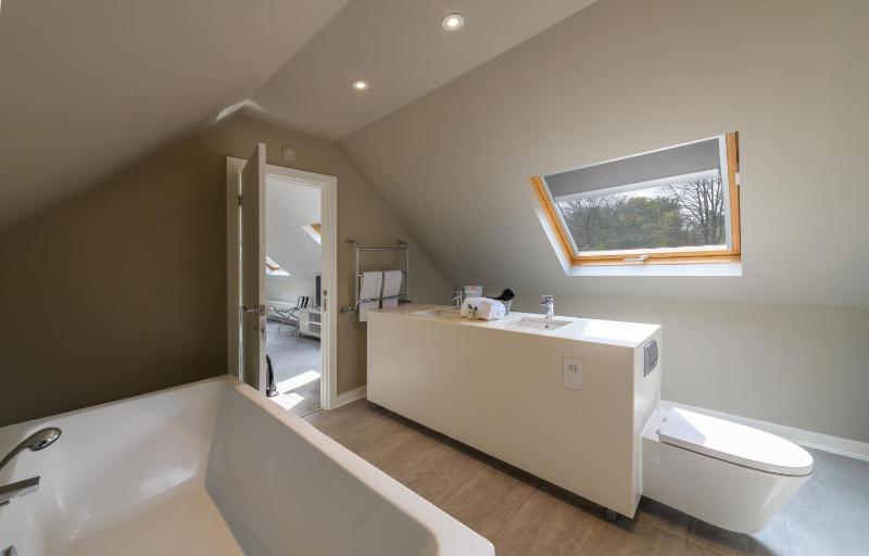 Superior King Suite image 3