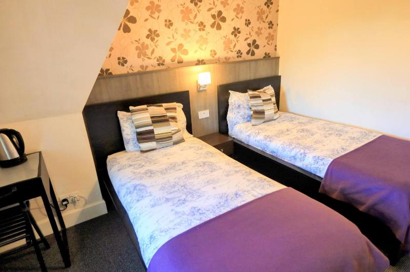 Budget Twin Room image 1